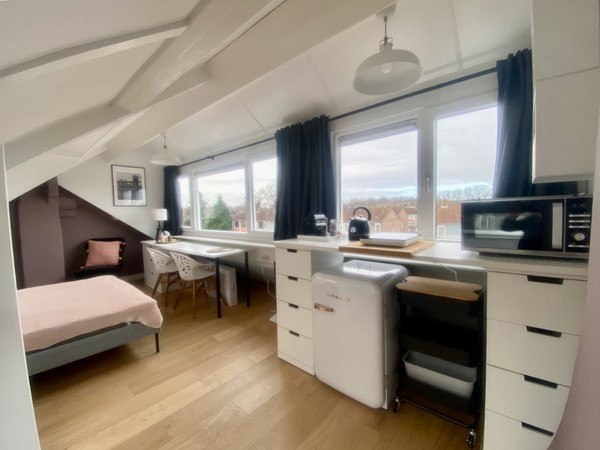 Zolderkamer - 1.jpeg